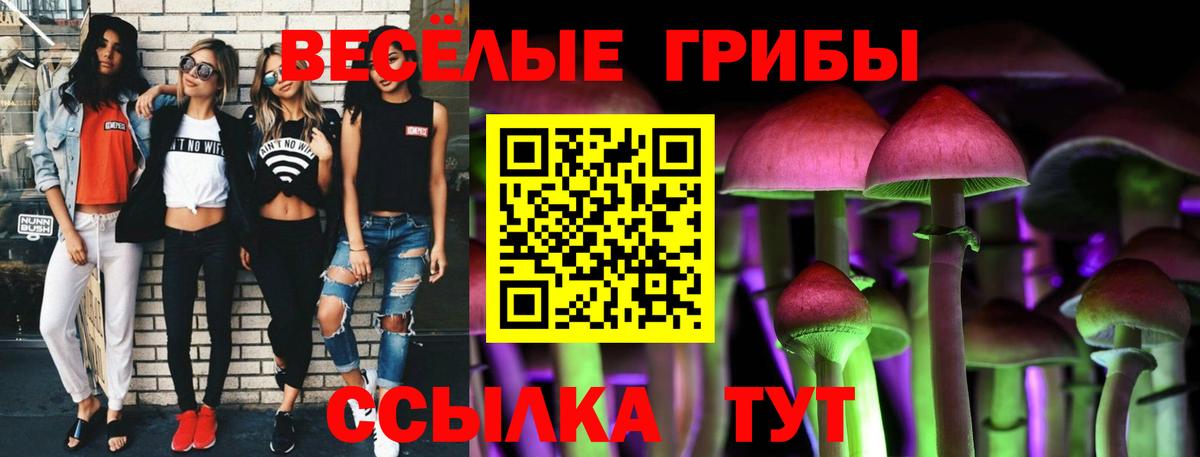 Псилоцибиновые грибы Cubensis  Галлюциногенные грибы MAGIC MUSHROOMS  Каменск-Уральский  Вход с VPN 