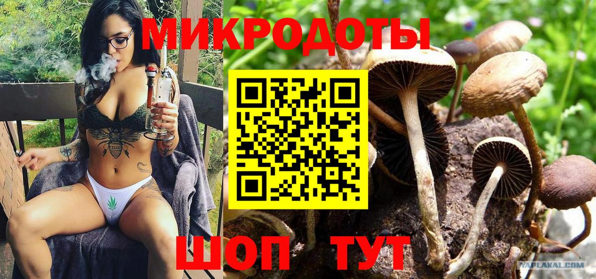 Псилоцибиновые грибы мицелий Каменск-Уральский